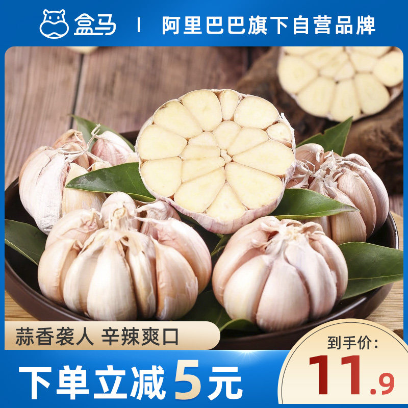 Box Markin Township quality garlic 2 catties 3 catty 5 catty fruits 50g When season fresh garlic Purple Peel Garlic Head Dried Garlic