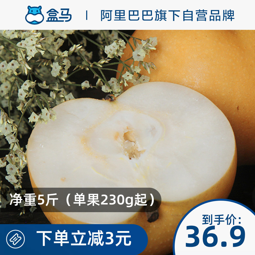Hema Shandong Laiyang Autumn Moon Pear Net Weight 5 kg Single Fruit 230g + Seasonal Seasonal Fruits Fresh Pears