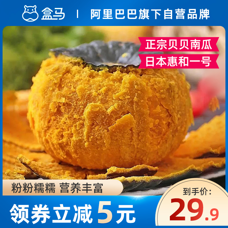 Box horse authentic Beibenan melon net weight 5 kg Chestnut pumpkin Japan Huihe No 1 flour waxy sweet fresh vegetables