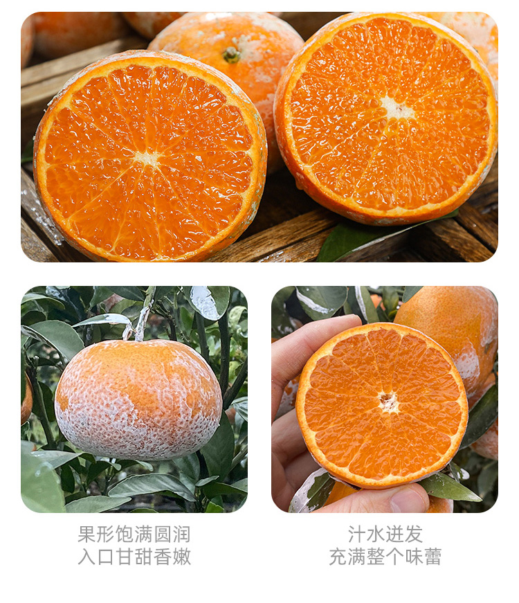 【盒马】广西茂谷柑脏脏柑5斤大果