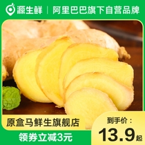 Shandong washed and air-dried ginger 2 catties 3 catties 5 catties fresh vegetables farm self-grown condiments