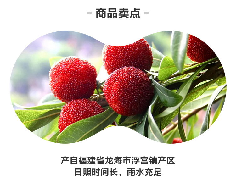 盒马 新鲜福建杨梅 6斤 图4