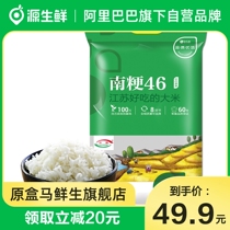 Taoxiang sweet Jiangsu Nongken Nanjaponica 46 rice 10 catties Jiangsu rice southern high-quality rice