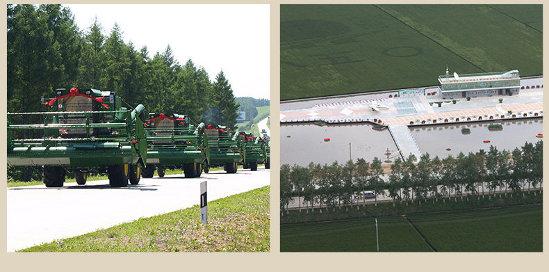Tiger Forest Rice Pearl Rice 5 кг детализации_14.jpg