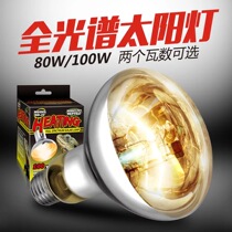Crawler UVB full spectrum heating lamp big sun lamp climbing pet tortoise heating lamp feeding box heating lamp