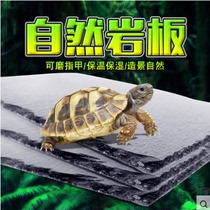 Natural rock food basin food plate rock plate rock plate tortoise stone plate mat climbing pet land turtle box reptile lizard moisturizing heat preservation