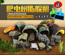 Reptile Dodges turtle Dodges tortoise Dodges resin Dodges spider Lizard Pet Dodges Tree hole