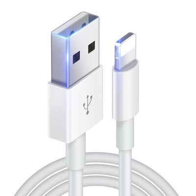 åè£æ­£åiPhoneå¨ç³»åæ°æ®çº¿1m