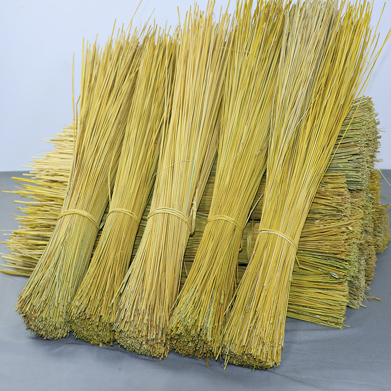Stemless Sticky Rice Straw, Fragrant Sticky Rice Stalks, for Tying Zongzi, Tying Three Treasures, Tying Ropes, Teaching Materials, Straw Shoe Weaving
