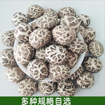 With state level 1 gift white flower mushroom produced by the local farmer non - rubber natural size fragrant mushroom 1 kg