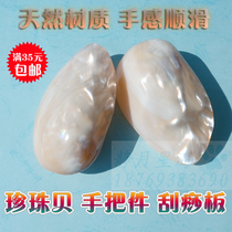 Natural conch shell crafts Pearl shell scraping plate hand handle gift gift creative collection gift decorative ornaments