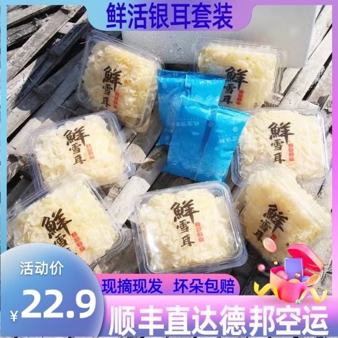 SFC fresh silver ear 6 boxed ancient fields fresh snow and white wooden glutinous ear