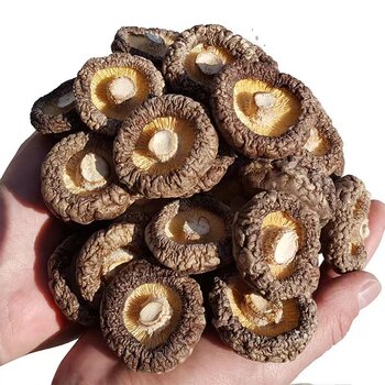 Dried Small Shiitake Mushrooms, Gutian Mushrooms, Fresh Farm Specialty, Pearl Mushrooms, Thick-Fleshed Mushrooms, First-Grade Fujian Mushrooms
