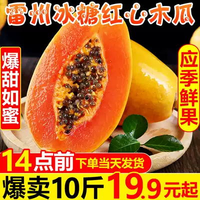 Leizhou Rock sugar Red heart papaya 10 kg fresh seasonal tropical fruit Rock sugar Big green papaya ripe on the tree