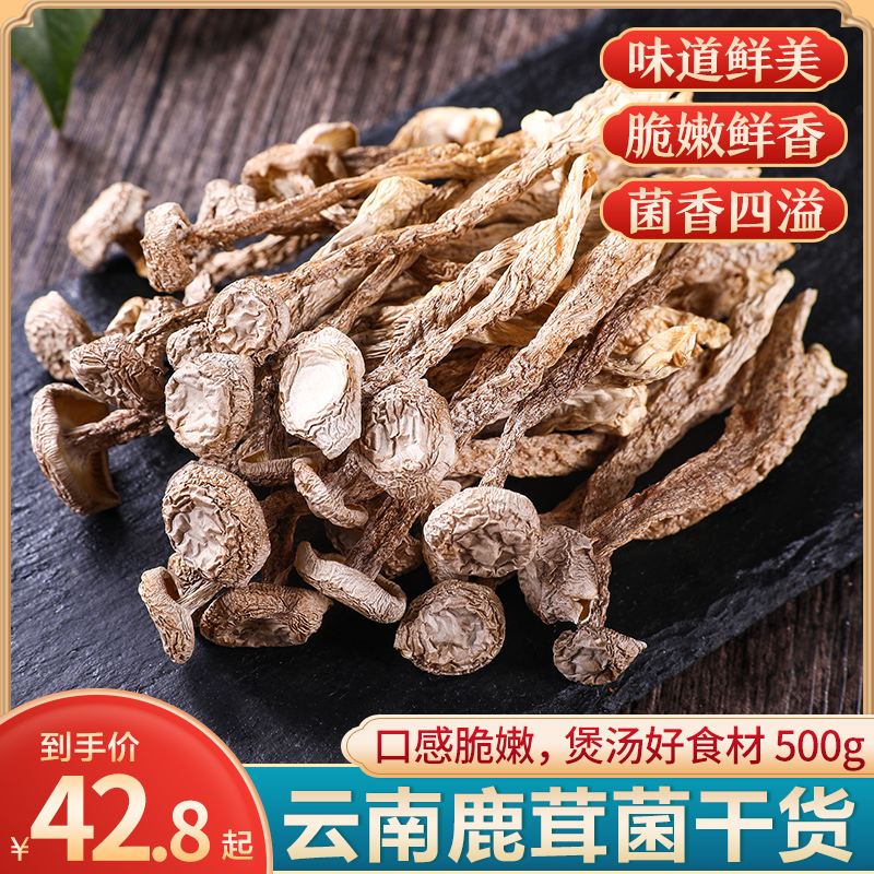 Yunnan Antler Mushrooms Dry Goods 500g Native Edible Mushroom Hotpot Soup Coral Fungus Nutritious Dried Mushroom