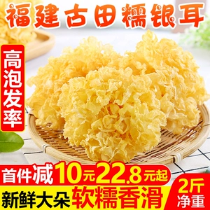 Fujian gutian-клейкий бедный гриб 2 джин из свежего снежного уха суп из свежего снежного уха