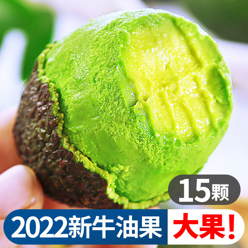 Mexico imported avocado 15 fresh fruits ripened in the season ready-to-eat avocado large fruit whole box wholesale