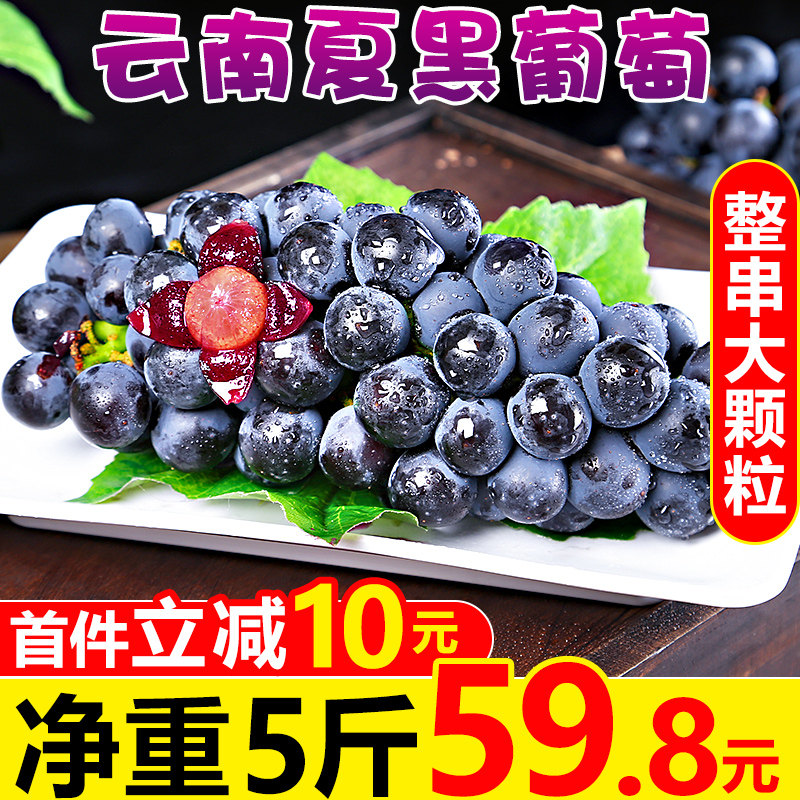 Yunnan summer black grape 5 kg fresh seasonal fruit black blackcurrant seedless grape pregnant women whole box 3