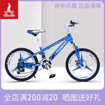 Phoenix childrens variable speed mountain student bike 20 inch 8-10-11-13 boys and girls