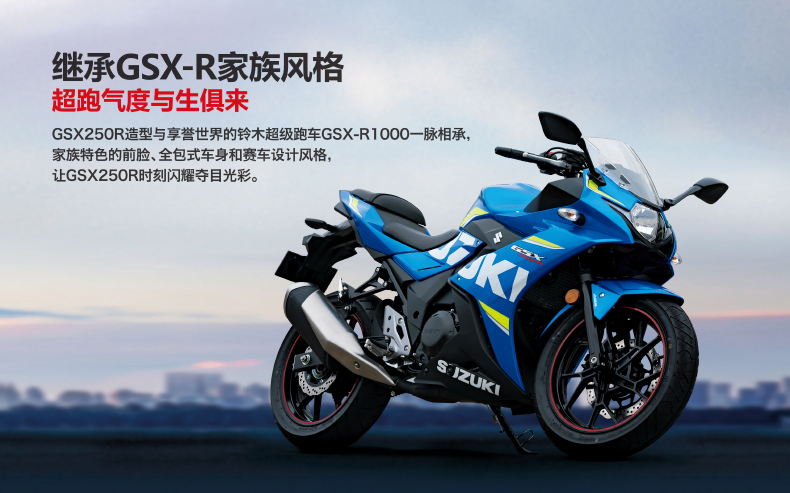 Suzuki GSX R 250