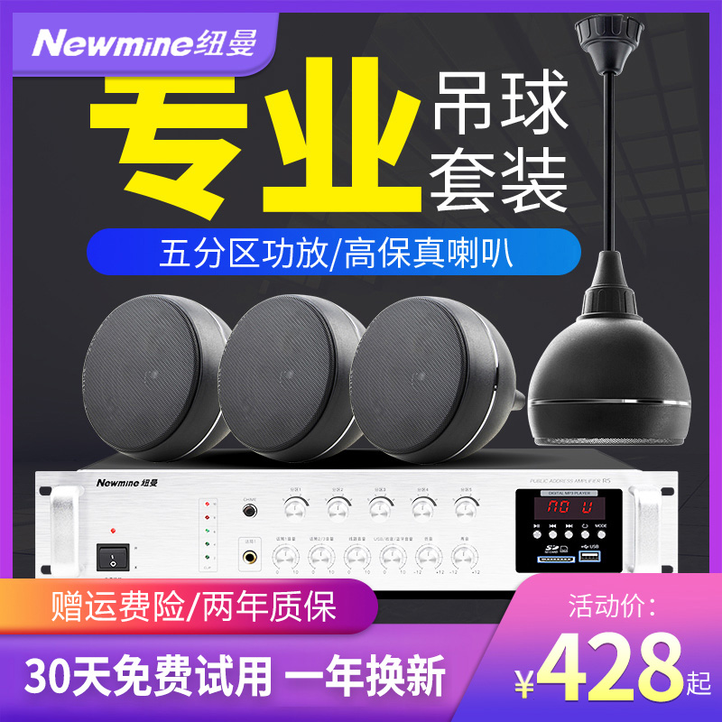 Newmine G-2 wall-mounted hanging ball audio ceiling ceiling speaker suspended ceiling dining room shop supermarket