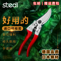 Stelli imported fruit tree pruning shears garden gardening shears household picking and pruning branches flower shears flower shears