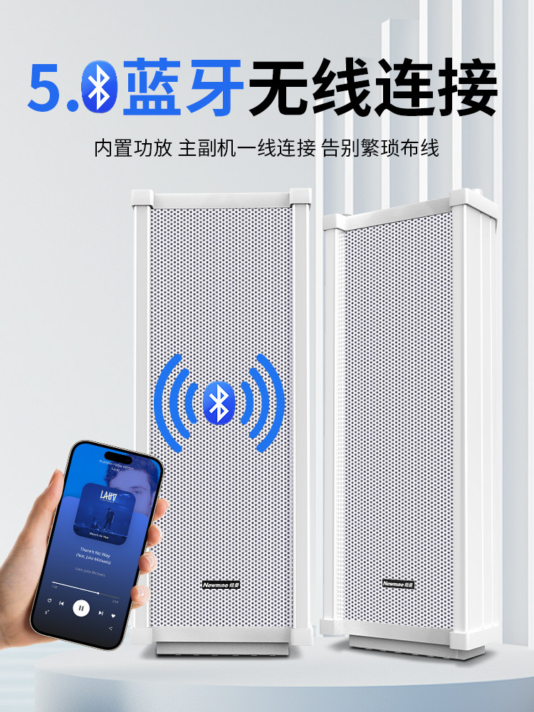 Newman Audio Store Exclusive Wireless Bluetooth Active Wall-Mounted Speakers Outdoor Waterproof Sound Column Outdoor Commercial Speakers