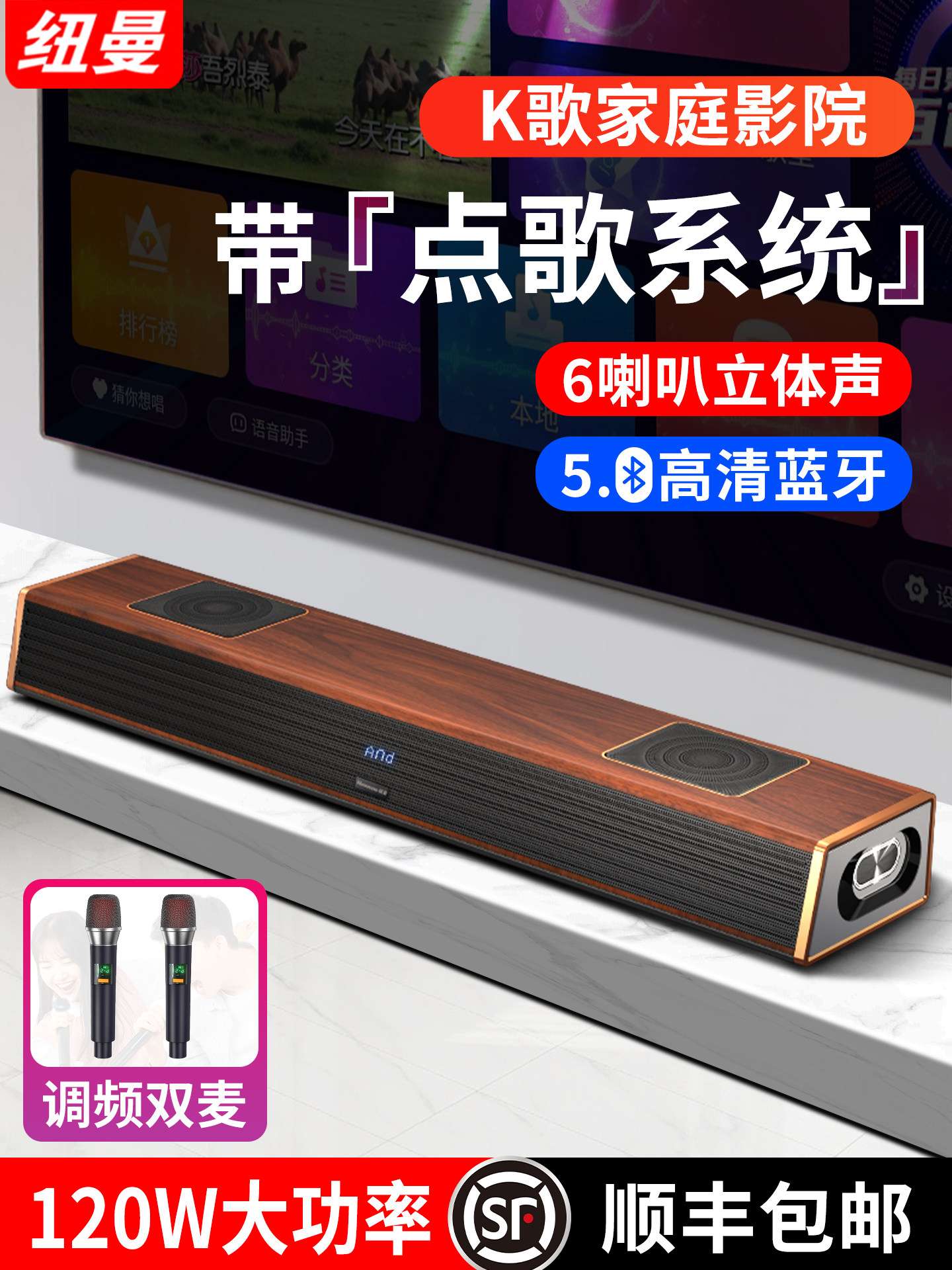 Newman Family Ktv Audio Set Wireless Bluetooth Tv Soundbar Singing Theater Karaoke Speaker with Karaoke Machine