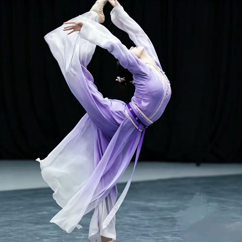 Yi Anzui Dance Costume, Same Style as Zhu Jinhuai, Chinese Style Performance Outfit for Art Exams, Women's Gradient Purple Performance Costume for Adults