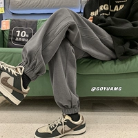 Серый (плюс бархат)