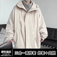 Абрикосовый цвет [три -ин -один]