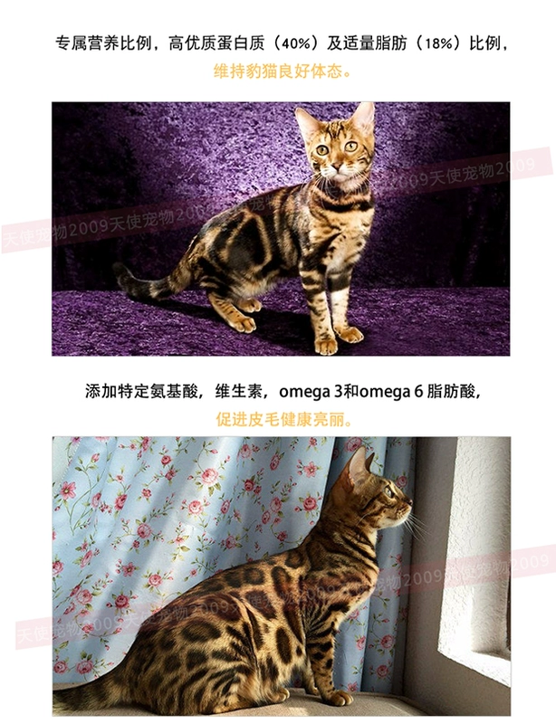 Spot ~ Đài Loan được Pháp cấp phép nhập khẩu nguyên bản gốc mèo Royal Leopard đặc biệt ngắn B40 vào thức ăn cho mèo 2kg - Cat Staples hạt thức ăn cho mèo