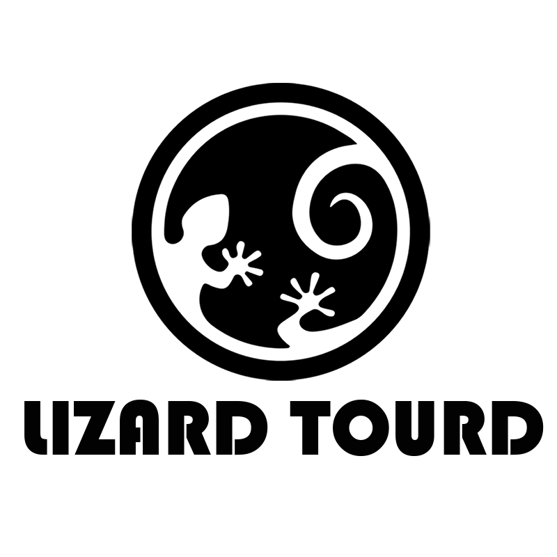 LIZARD TOUR外设之旅的LOGO