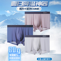 Caberless caber underpants male ultra-thin ice silk summer style 2022 pure color mid-waist no-mark antibacterial preferential clothing 3 strips