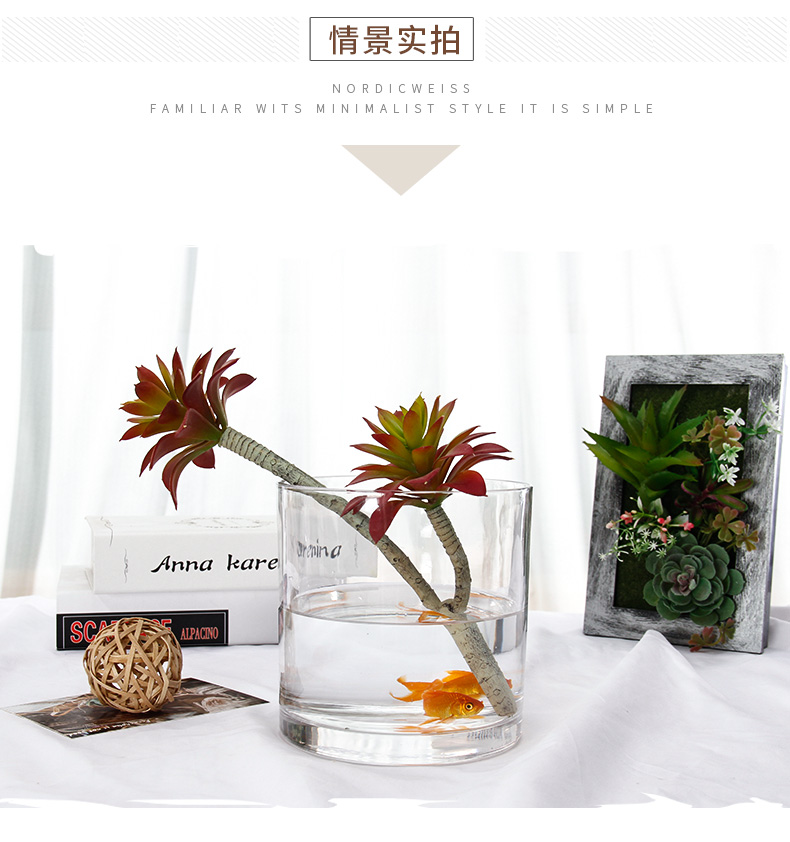 Mặt bích pha lê thủy tinh bình cá bể thẳng xi lanh đồ trang trí bể rùa Châu Âu phòng khách đơn giản máy tính để bàn nước văn hóa đồ trang sức - Trang trí nội thất trang trí phòng khách đơn giản