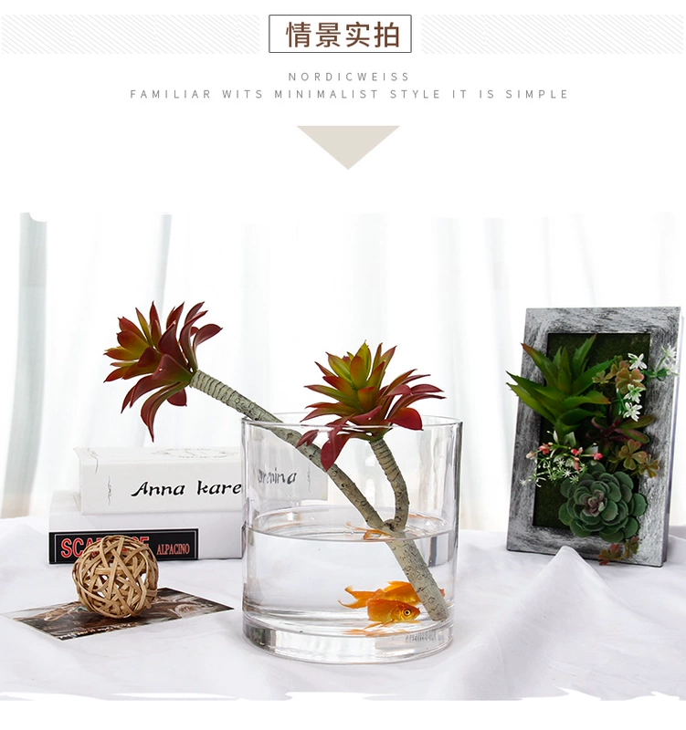 Mặt bích pha lê thủy tinh bình cá bể thẳng xi lanh đồ trang trí bể rùa Châu Âu phòng khách đơn giản máy tính để bàn nước văn hóa đồ trang sức - Trang trí nội thất trang trí phòng khách