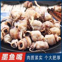 Wenzhou specialty cuttlefish mouth snack frozen squid mouth ready-to-eat dry goods fresh large dried cuttlefish 500g
