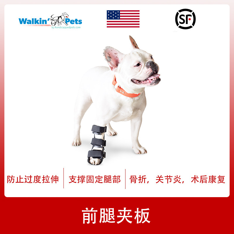 American pet dog dog forefoot splint boot joint paw fracture fixation deformity rehabilitation correction stabilization after surgery