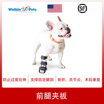 American pet dog Canine Foreleg splint boots Joint foot fracture fixation Deformity rehabilitation correction stabilization postoperative