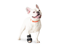 American pet splint boots Joint foot fracture fixation Joint deformity rehabilitation correction Stabilization postoperative protection