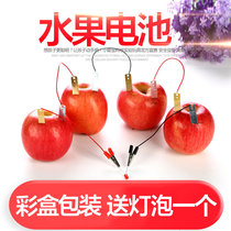 Fruit battery experimental material science diy potato power generation Childrens Technology small production small invention student toy