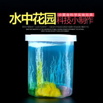 Childrens science experiment toy diy chemistry elementary school students Science and Technology small production handmade invention creative water flower garden