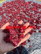 Dried roselle no sand no impurities pure farmhouse selection good quality brewed into tea boiled water sour plum soup