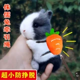 Гноме кроличья тяга для выхода из одежды из одежды может вырваться из скользких маленьких кроликов.