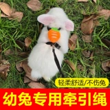 Гноме кроличья тяга для выхода из одежды из одежды может вырваться из скользких маленьких кроликов.