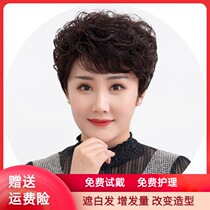 Wig female short hair real hair silk short curly hair temperament real hair full head sleeve fluffy natural middle-aged wig set