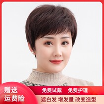 Wig female short hair middle-aged and elderly send mother full real hair natural elderly chemotherapy fashion fluffy full head cover