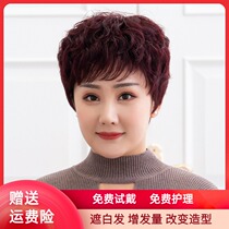 Wig women short send mother middle-aged and old new hair set real hair short curly hair natural Fluffy Full Head