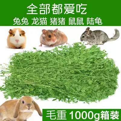 Alfalfa grass young rabbit rabbit grass Chinchilla grass rabbit grain guinea pig grass Beaty beard Beatles hay feed