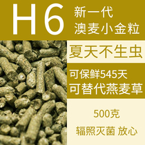 H6 Australian wheat small gold grain non rabbit grain can replace oat grass in summer